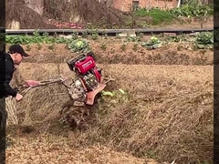 Mini Power Tiller 4-WD-Self ha azionato il #directconnecte#MiniPowerTiller#Easyclimb di 180mm